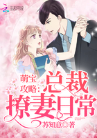 萌宝攻略：总裁撩妻日常