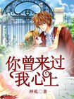 你曾来过我心上
